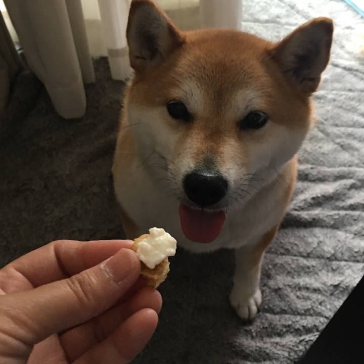 Cb00c7f6 3749 49f4 86fa 62a3f635e299 1591077494429