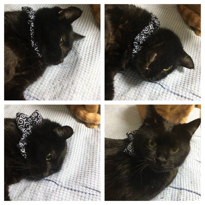 Cb00e732 a89f 47e7 850b 104087636a74 1544789147789