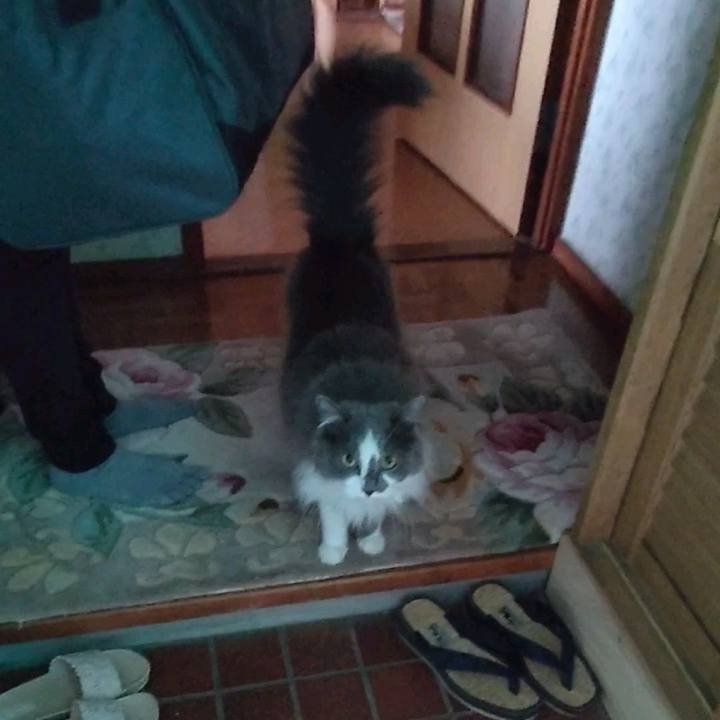 Cb013b62 f56c 47eb be5a 32cc44c9a664 1623985632613