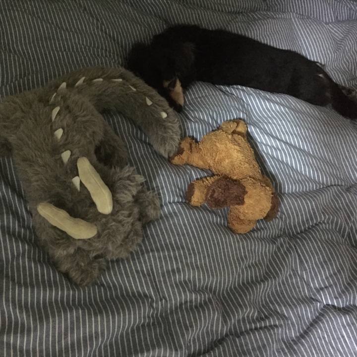 Cb01843f f680 47a8 ad7d a0cc1669a753 1535986641758