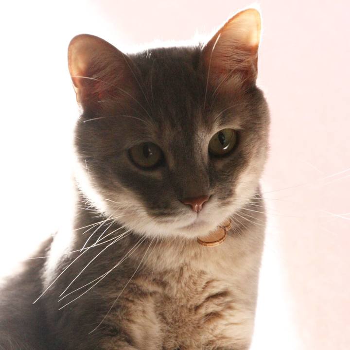 Cb0184be b8bf 4675 a8e9 3e57f78868b3 1558661552287