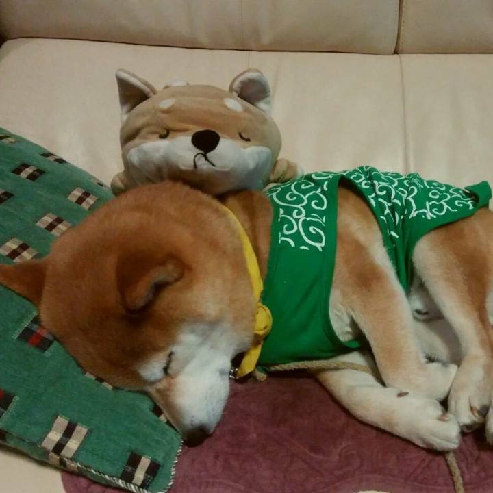 Cb018bfb 10ad 40da bde6 3adf834e5a95 1518361397025