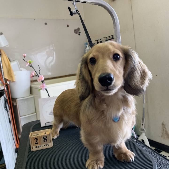 Cb01aa7d ceec 4310 aaaf c002dd8388e4 1772277917883