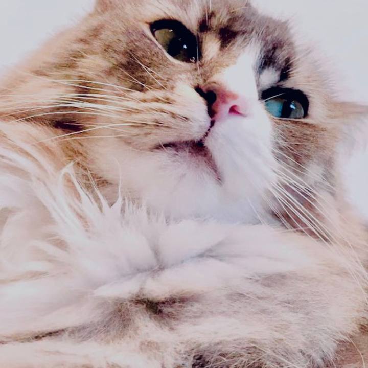 Cb01b54f 77c4 4e79 8a16 1af46d56ebee 1648231149897