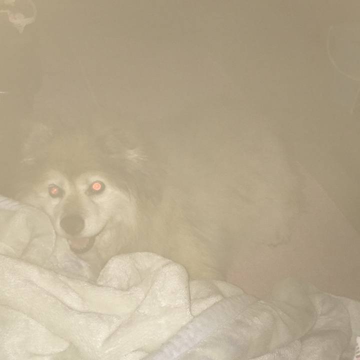 Cb0213d6 03f9 4427 949d 8995db30bc2f 1603416385935