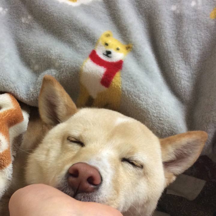 Cb0213ea be39 42b9 ad56 ce756f352363 1516019050977