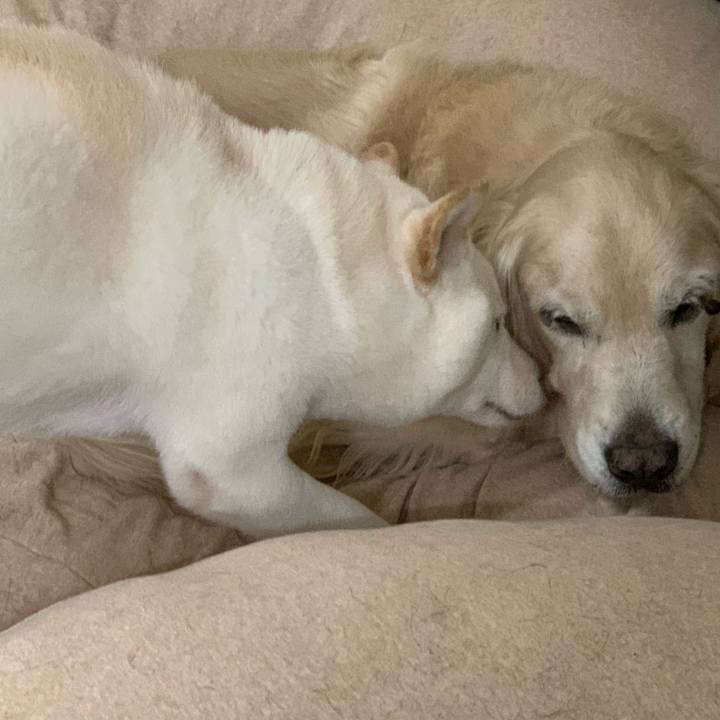 Cb02462d ba14 47ed 9628 ca4fd1df5f8c 1575801366353