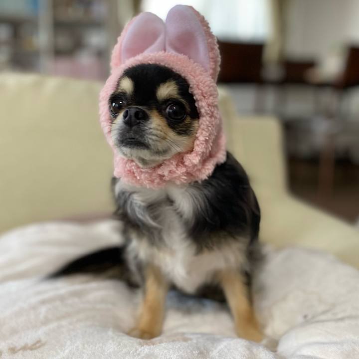 Cb025156 c17f 4084 8ffe 2fd8b2b253b0 1657705692693