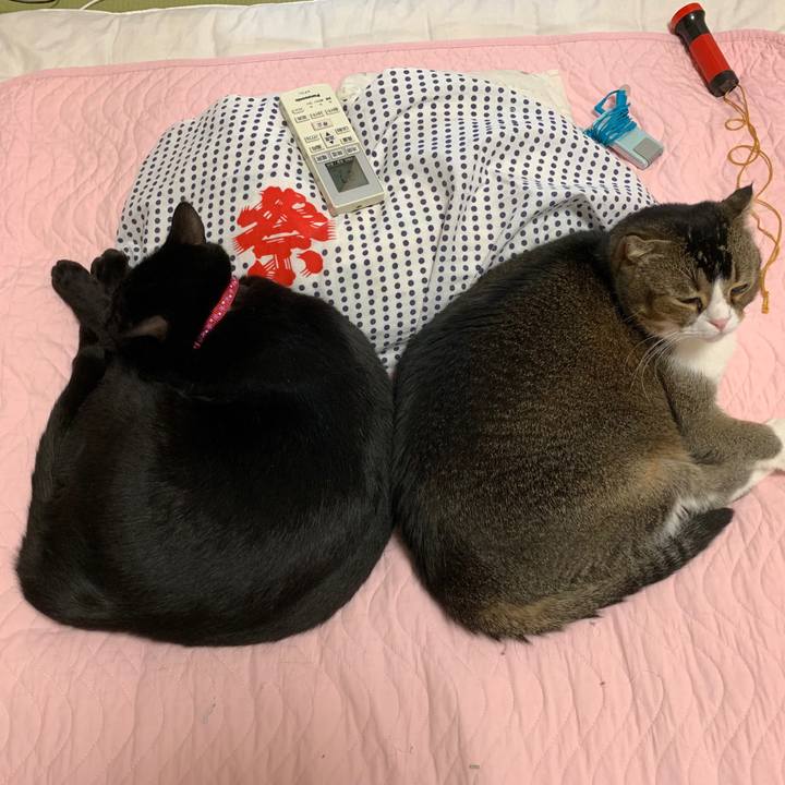 Cb02702b 3133 44aa 9c84 c82960969379 1569810981219