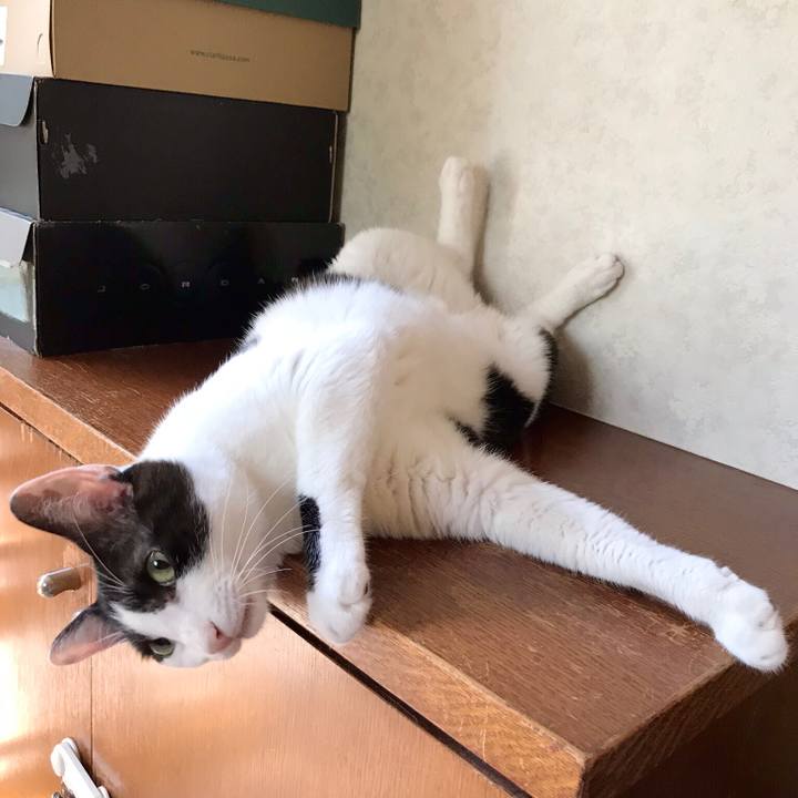 Cb029a42 d6b4 469f 98ba 4774ca6ad4a5 1532563844782