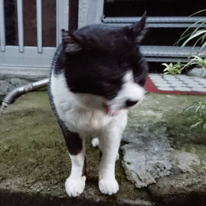 Cb02adfc aaed 4bf9 bc39 398b56ea95c6 1670486234352