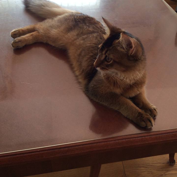 Cb02f646 7a5b 4ce6 84d4 c18b25fefe90 1564983522138