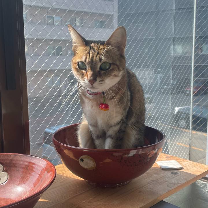 Cb030ae3 c32c 4997 9f9d 5342809dbfe4 1741397178283