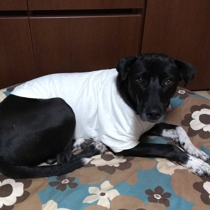 Cb030f84 6f08 46fa 8969 951f95cca07c 1605348133092