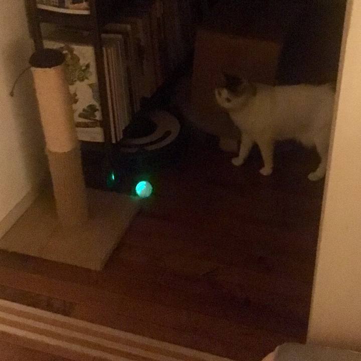 Cb0340ad 0f52 4189 9e3d 47d87aeb61d7 1542788915977