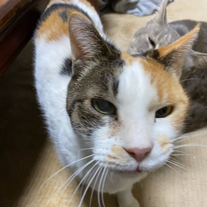 Cb0352ba 0ec6 4d7a b538 5e3c7e9016ef 1583119518765