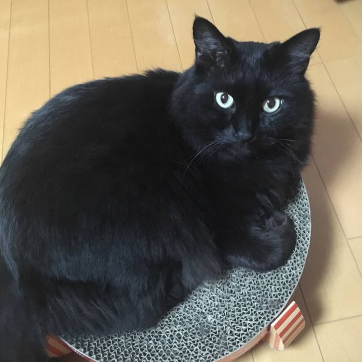 Cb03f6a2 c573 456a acbf 931d5d1c9606 1531370595737