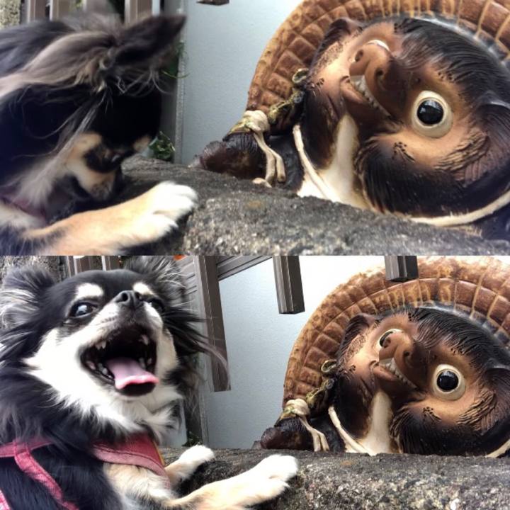 Cb0409be ed7a 48ee b3ef 5adb0dc9051a 1596498462922