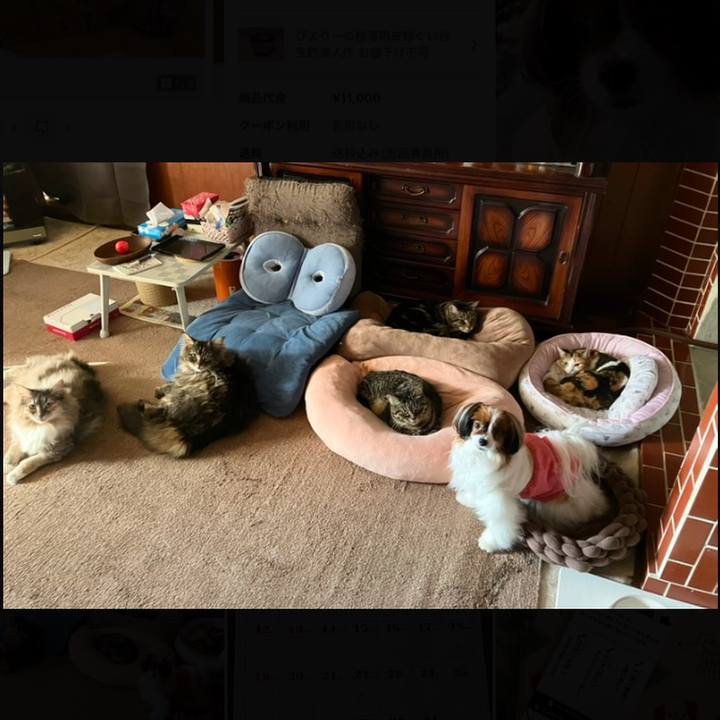 Cb041715 77ec 4292 8d9a 650d976b703d 1736221448107