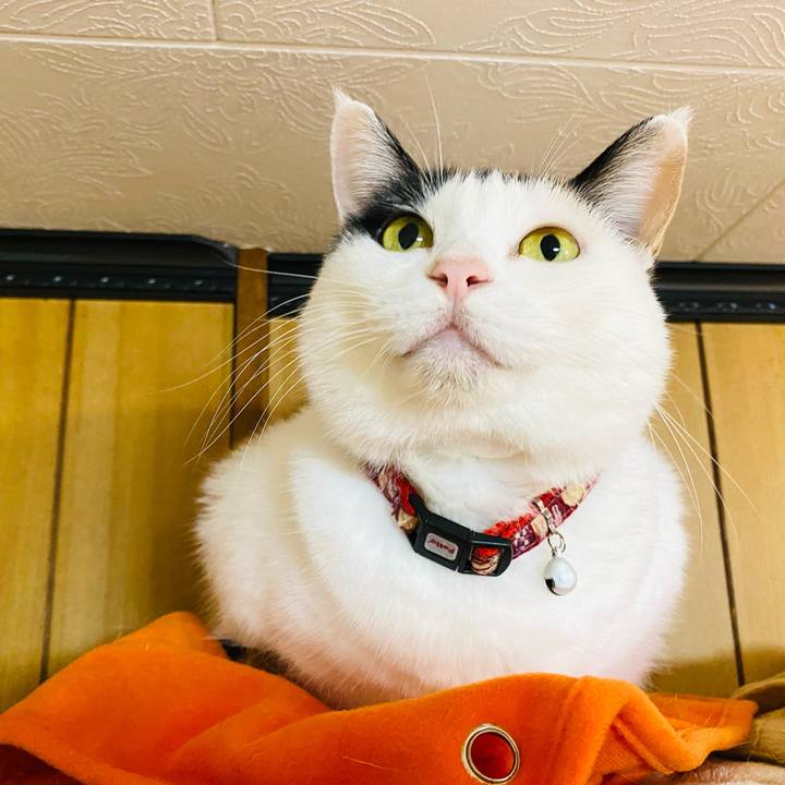 Cb042bf0 6a7a 42e1 ac57 526dc1c7af56 1669155170290