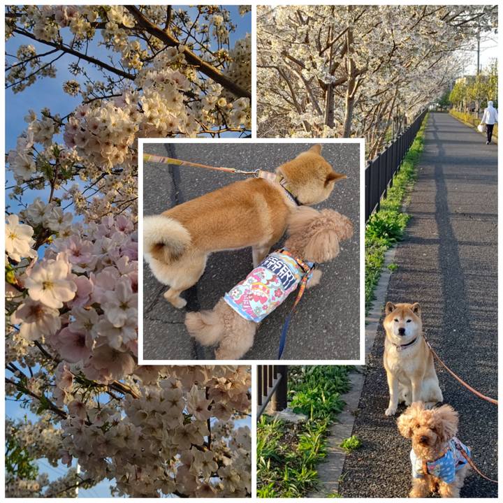 Cb0464e8 4a0c 4606 abd5 dad111e47f88 1616577487990