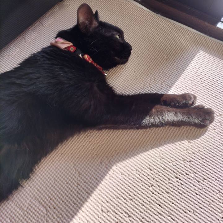 Cb046b0d b111 4a79 a8ed 4df15e296212 1650842226800