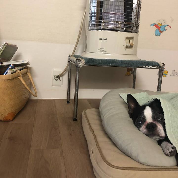 Cb047cc4 ed85 4dd3 b5f4 fd25b522ebb1 1721177794473