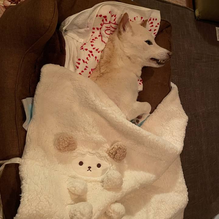 Cb0482a3 b5d5 4b42 adb7 95b2a647b72e 1676549840559