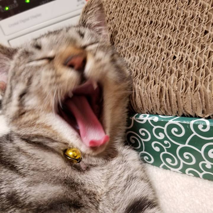 Cb0493c4 6fea 42a3 a49b 4c8642fa1c07 1670716439291