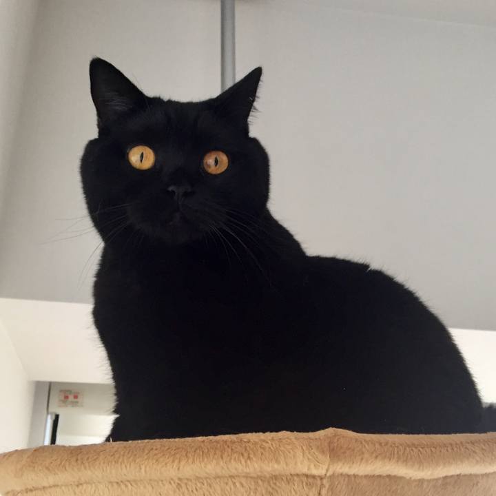 Cb04e8c6 b006 4f68 b926 b9d730059850 1538437648695