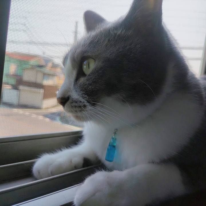 Cb04f04c 5c34 4924 9fbb 697aa6d23501 1655598598167