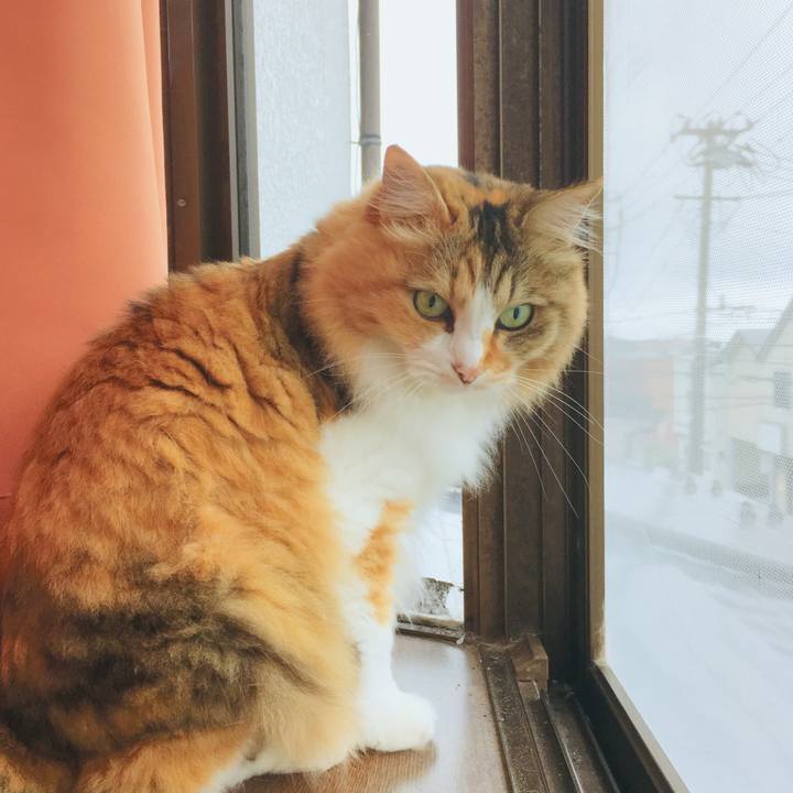 Cb0505b7 dda7 4b02 808e b9970dca9a35 1563263667849