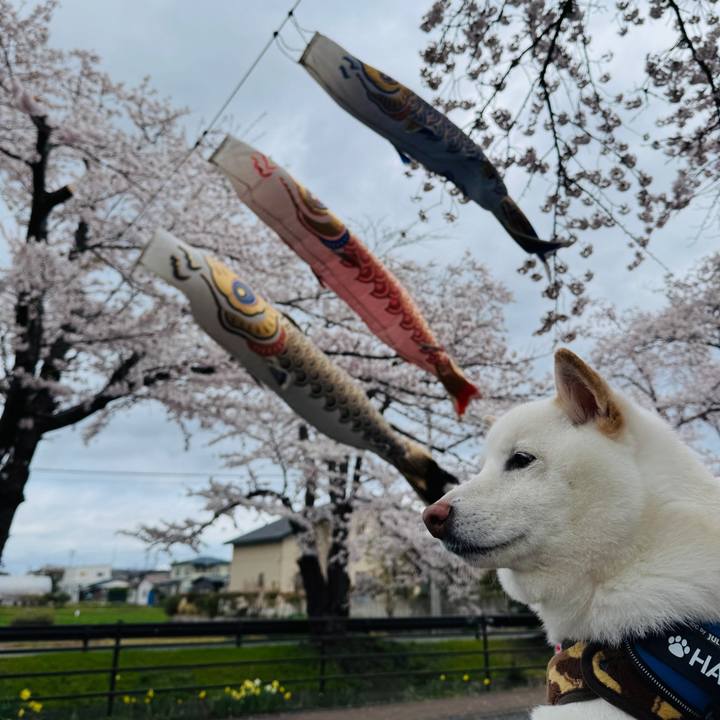 Cb0515fb 2ba3 4202 ba0a 2ec66ac3de50 1745558990602