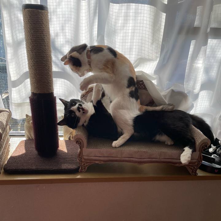 Cb054fd9 a95d 4e94 9433 49484967ceb3 1677022729109