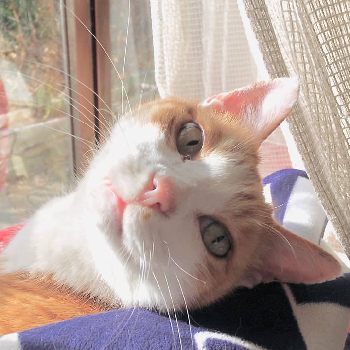 Cb055ada 95a8 4e2d b65c aabf55f33089 1576474095760