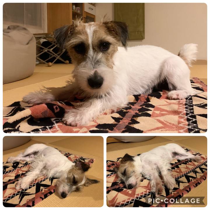 Cb05bffd 8233 44cb aecd d004701a07b2 1596379792699