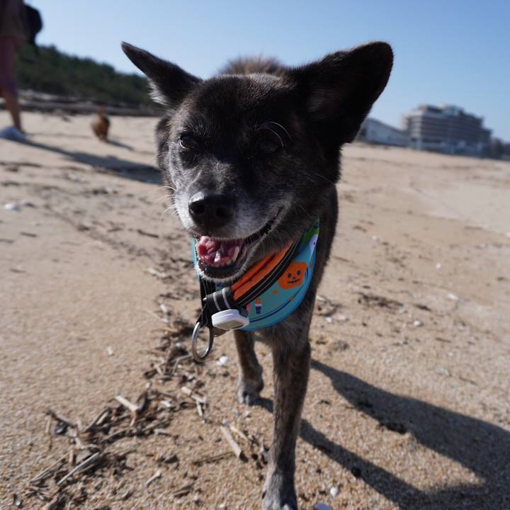 Cb05c348 9588 4aac bf03 49c0831fab56 1604662539856