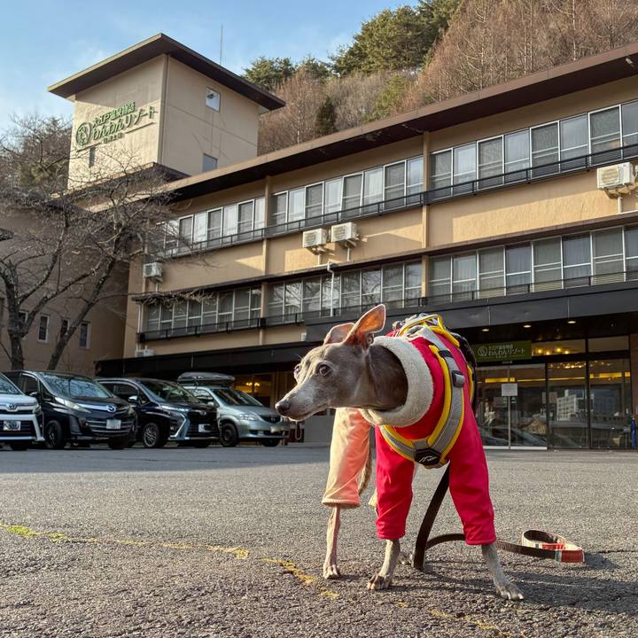 Cb06006e dad2 4bd9 8b78 cfc8cd6210f3 1774167464410