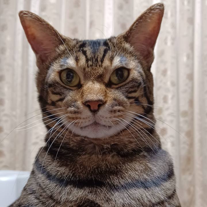 Cb062c38 d59d 4b94 8245 eb956cf2344d 1668319802615