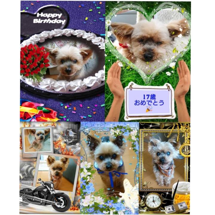 Cb06793c c39f 4863 bd14 ac6ffb1e7d05 1553901715849