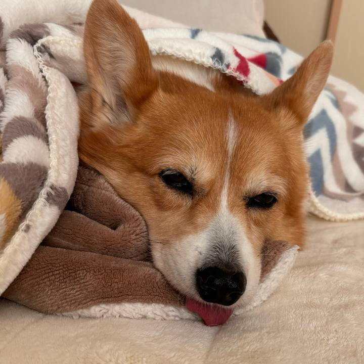 Cb068c7b a69a 4bed 8a1d 9ca24abe90e8 1733621056281