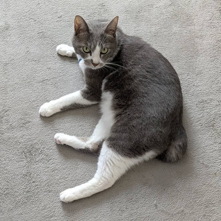 Cb06c599 d10c 4fc2 93da f9fb36bcf90c 1757301833139