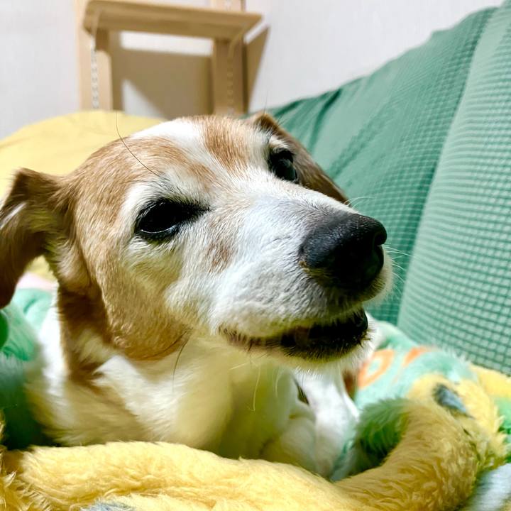 Cb06f280 0025 4075 8d23 1548565ac2d8 1713008787085