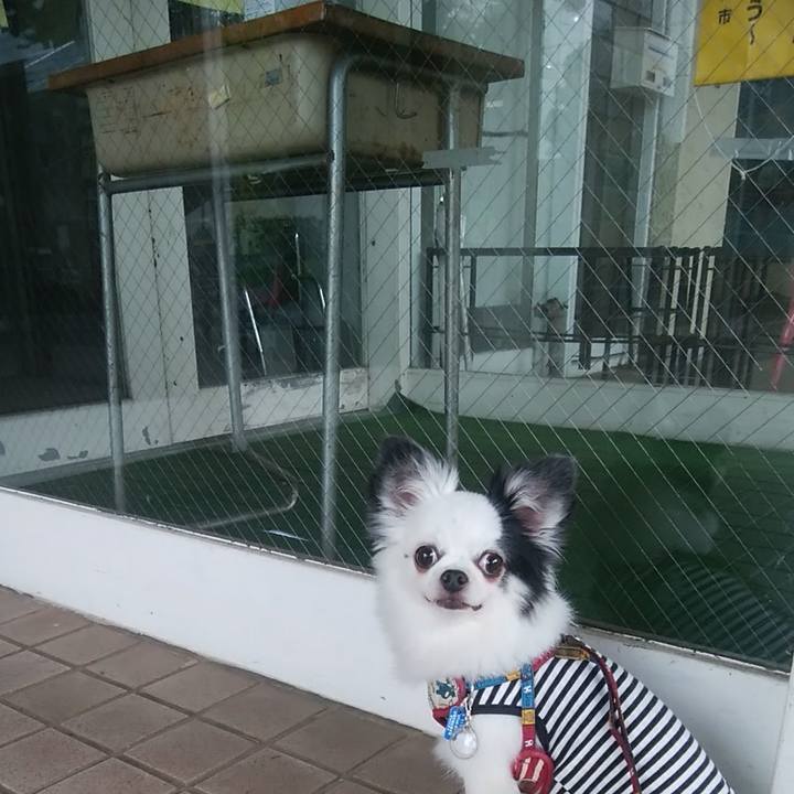 Cb06fed8 6ae5 4ff2 af69 928d7bdd4de1 1537075937934