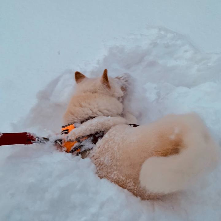 Cb071c88 9e0c 4364 9074 4cc93c51f7e4 1671487902964