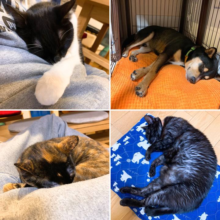 Cb076818 ddb3 445e a952 2ecefb4d7c0a 1577793022443