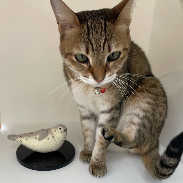 Cb07e801 db2a 4608 99fb c2c375529990 1705968016508