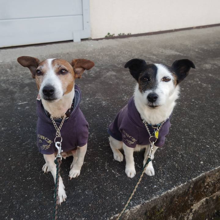 Cb0806de 7bb4 4777 9425 862aaf3f75b8 1771802169045