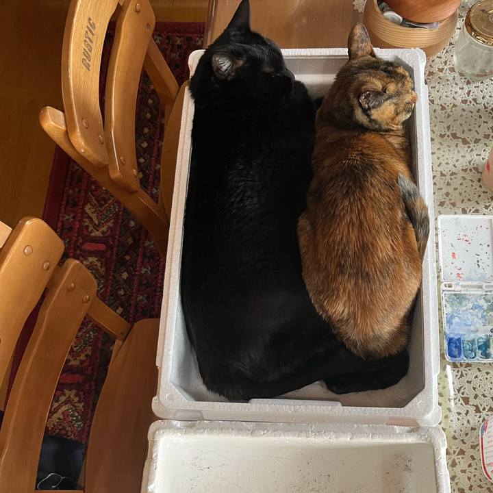 Cb081667 a766 43ed 8b03 7d2d083d07d1 1774761463614