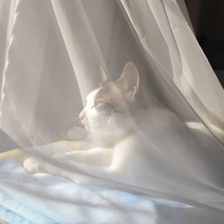 Cb081f0f 05b6 4db7 bc63 2d5e1c40e378 1683098051755